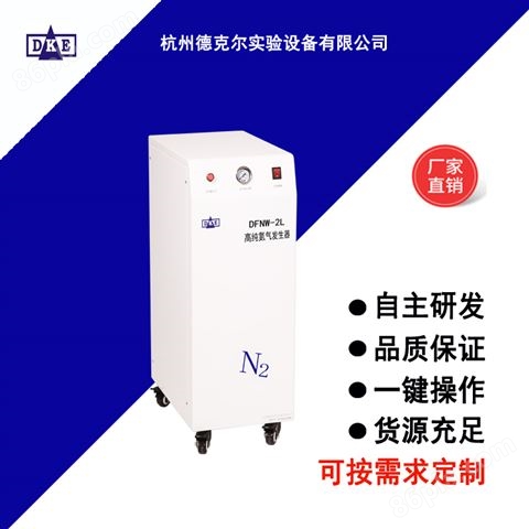 高纯氮气发生器DFNW-2L