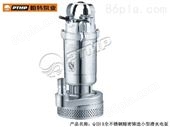 Q（D）X全不锈钢精密铸造小型潜水电泵
