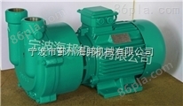 水环式真空泵 3kw sz-1.5